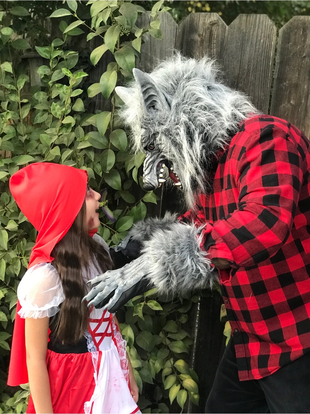 Werewolf Grey Costume Set Adult